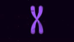 Genetics & Cell Division Keyword Definitions Instructional Video