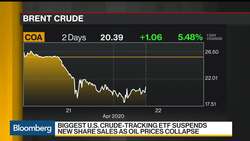 Biggest U.S. Crude-Tracking ETF Suspends New Share Sales as Oil Prices Collapse News Clip
