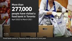 1 in 10 Torontonians used a food bank from April 2022 to March 2023, report says News Clip