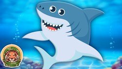 Learn EVERYTHING you need to know about sharks! | Animal Song For Kids | KLT WILD Instructional Video