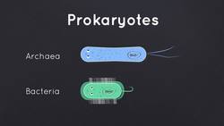 BIOLOGY - Genetics - What is DNA Instructional Video