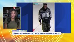 2 women robbed in chain snatching incidents News Clip