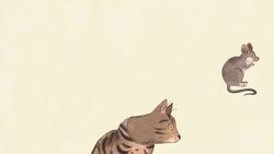 TED-Ed: Why do cats have vertical pupils? | Emma Bryce Instructional Video