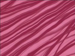 Your Body: What Makes Up the Body? Instructional Video