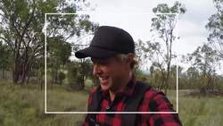 Releasing a Southern Brush-Tailed Rock-Wallaby into the Wild Instructional Video