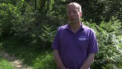 Charity reintroduce 1000th dormouse to the wild News Clip