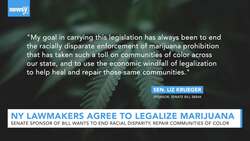 New York Lawmakers Agree To Legalize Marijuana News Clip