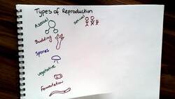 Types of Reproduction Instructional Video