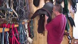 How to Buy a Horse Saddle Instructional Video