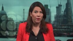 63 Canadians among dead after plane crash in Iran, Ukraine says News Clip