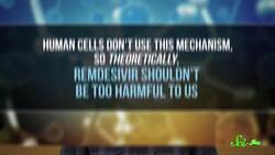 Our Best Bets for Treating COVID-19 Instructional Video