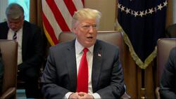 Trump: Mitt Romney could be more of a team player Instructional Video