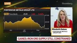 Fortescue CEO Gaines on Earnings, Iron Ore News Clip