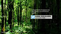 Brazil Amazon forest defender shot dead by illegal loggers News Clip