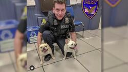 Eastchester prevails in discrimination and harassment lawsuit from former police officer News Clip