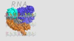 How research on bacterial immune systems led to CRISPR Instructional Video