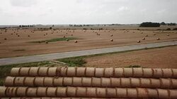 Bales of hay on the field Stock Footage