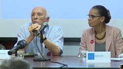 CLEAN : HRW in Brazil gives presser on timber exploitation after Amazon fires News Clip