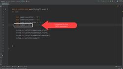 Fundamentals Of Object-Oriented Programming: Java and IntelliJ - Char Data Type Instructional Video