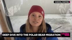 Polar Bears International Calls on World Leaders to Take Real Steps on Climate Crisis News Clip