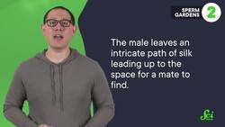 5 Gross Gifts Animals Give Their Mates Instructional Video