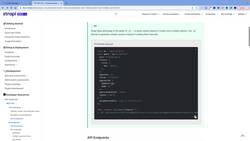 The Complete Strapi™ Course with Plugins and Deployment - API Parameters: An Introduction Instructional Video