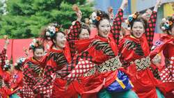 Snapshot of Japan Instructional Video