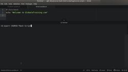 Bash Shell Scripting - Environment Variables Instructional Video