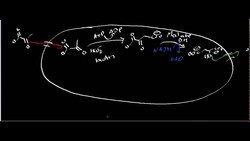 Oxaloacetate Metabolism Instructional Video