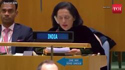 "The humanitarian crisis is alarming" India condemns killing of civilians in Israel-Hamas war at UN News Clip