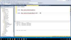 Microsoft SQL Server Development for Everyone - Stored Procedures Instructional Video