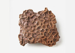 Limestone: Uses Instructional Video