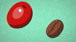 I WONDER - How Is Coffee Made? Instructional Video