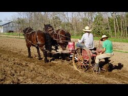 Back to the Land - Earthen Path Organic Farm - Mobile Minute Instructional Video