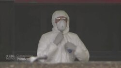 Queen urges unity, strength in special COVID-19 address News Clip