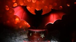 Atmosphere of Halloween Stock Footage