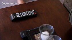 How to Become an Expert at Cat Training Instructional Video