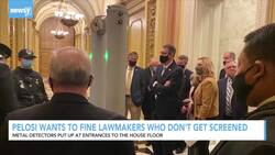 Pelosi Seeks To Fine Lawmakers Who Don't Screen For Firearms News Clip