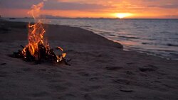 Blazing campfire on the beach during summer evening. Bonfire in nature as background. Burning wood on white sand shore at sunset. selective focus. tropical romantic landscape near sea water edge. Stock Footage