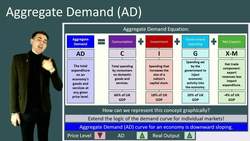 Deriving the Aggregate Demand Curve for Any Economy Instructional Video