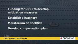 What P.E.I. oyster fishers say they need to save the industry from MSX News Clip