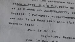 VOICED : Nacidos en los campos de exterminio, los últimos supervivientes del Holocausto News Clip