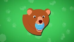 Bear Facts Instructional Video