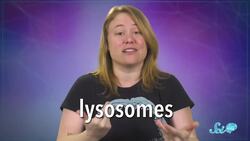 Meet Your Microglia: Your Brain's Overlooked Superheroes Instructional Video