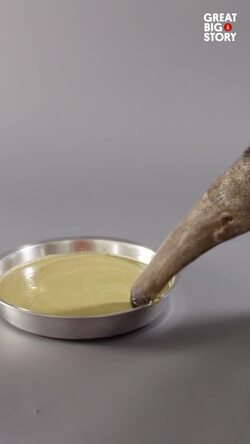 Peter the giant anteater, a glimpse into a unique species Instructional Video