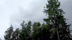 Newfoundland’s plan to turn wind into clean energy — and sell it News Clip