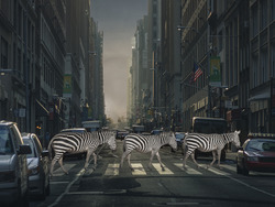 Optimism: A Recipe for Success Instructional Video