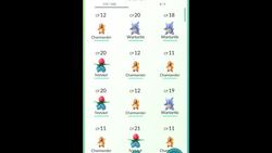 The global craze for hunting down Pokemon Instructional Video