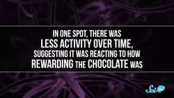 Why Do You Always Have Room for Dessert? Instructional Video