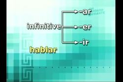 Advanced Spanish: Possessive Adjectives Instructional Video